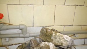 ✅Электро Баня прямо в КВАРТИРЕ ⚡?⚡ Устроили ЗАМЫКАНИЕ в бассейне ?