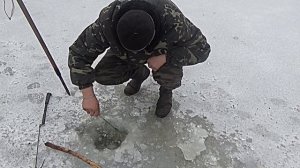 ЗИМОВА ЛОВЛЯ СУДАКА. ЗИМНЯЯ ЛОВЛЯ СУДАКА