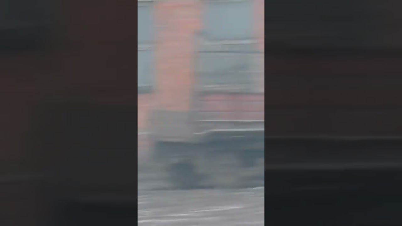 Утро в колхозе! смотреть онлайн