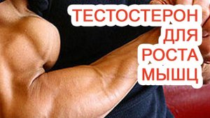 Тестостерон для роста мышц