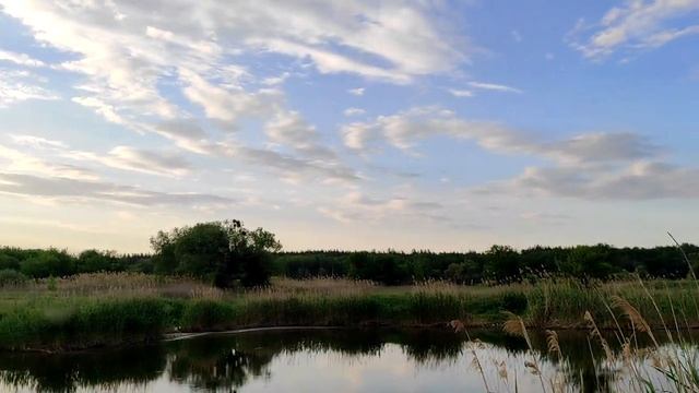 Преданность собственной Душе. Верность Себе и своему Партнеру.
