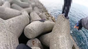 【衝撃】〇〇だけで簡単に釣れるショアジギング！！初心者さん必見ですよ～