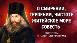 06 О Смирении, терпении, чистоте, Житейское море, Совесть — Аскетические опыты — Брянчанинов
