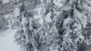 Цель_ам_Зее подъем на вершину Zell_am_See Kaprun