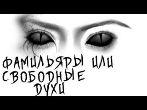Фамильяры или духи помощники. Сложности рождения, общения и существования.