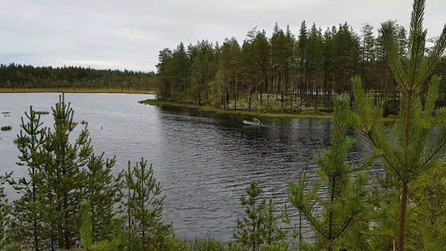 Красоты Онежского озера, рыбалка и поездка на моторной лодке