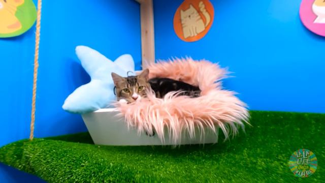 सीक्रेट कैट हाउस बनाना! La La Life Emoji Hindi पर बेड के नीचे शानदार रूम मेकओवर смотреть онлайн