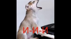 1 Музыкальная голосилка