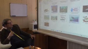 419-359 Палеозой_Девон_ Александр Ипатов