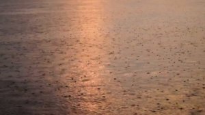 вечер на рыбалке г  Губкин