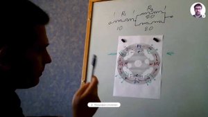 А.Мишин 13фев2018 Нюансы Двухчастотников.mp4