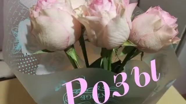 Розовые розы смотреть онлайн