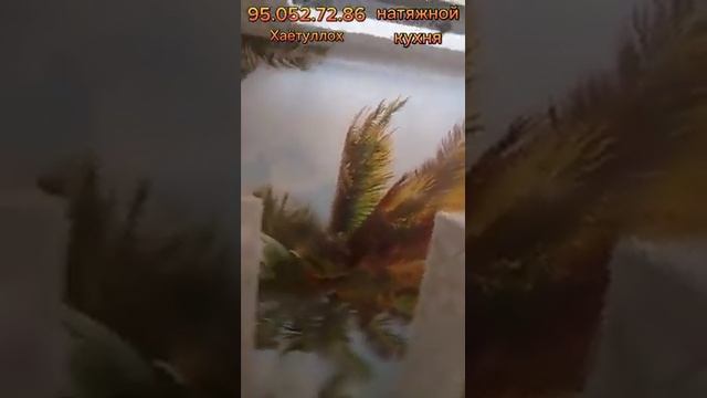 Натяжной потолок Кухня Барча ишлар бу ерда ??https://t.me/otdelkaremontishlari смотреть онлайн