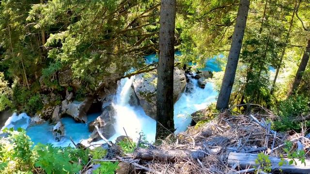 The best sleep music for stress relief: birdsong and piano! Музыка для сна: пение птиц и фортепиано смотреть онлайн