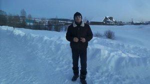 Почему воют собаки?