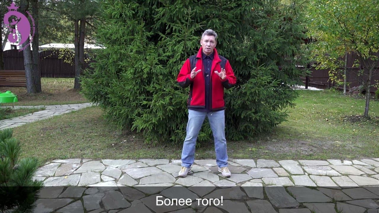 Легкие и упадок сил. Иммунитет и аллергия