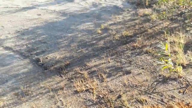 МЕТАЛЛОКОП 2022 КОПАЕМ МЕТАЛЛ НА СТАРЫХ СКВАЖИНАХ смотреть онлайн