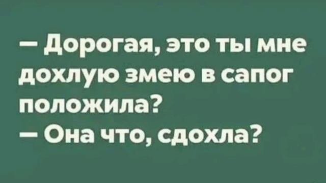 Ржака / Приколы