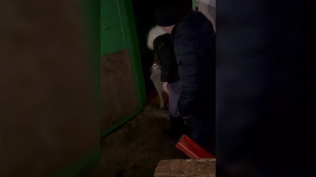 @olegmongol Иришка Чики -пики капризничает/безумный Паша хочет подать на развод/братва в гостях?