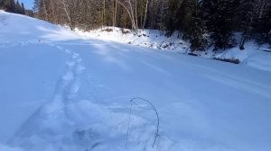 РЫБАЛКА НА КОСЫНКИ. ТОЛЬКО ПРИШЕЛ И СРАЗУ НАЧАЛО ЛОВИТЬСЯ.