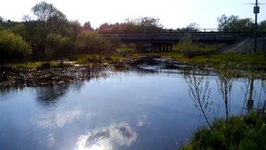 Река Свень