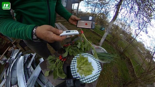 Едим чистую еду .Greentest MINI ECO