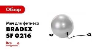 Мяч для фитнеса «ФИТБОЛ 65 с эспандерами» SF 0216