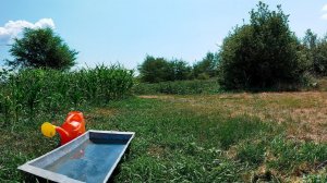 Жара в деревне