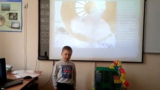 Проект 