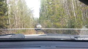 Дорога В Петровский ям 06.2017