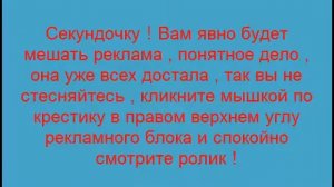 Драг рейсинг в мире .  Гонки  на мотоциклах  .