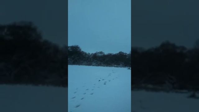 Выбрался на зимнюю рыбалку , озеро Вяча смотреть онлайн