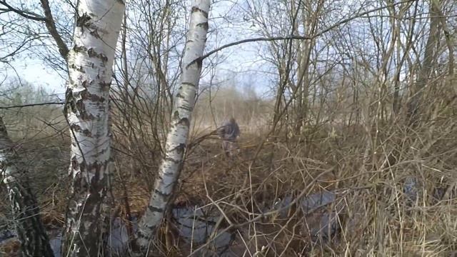 Металлокоп на буханке, вдоль полей и посадок 2021 - Chapter 1