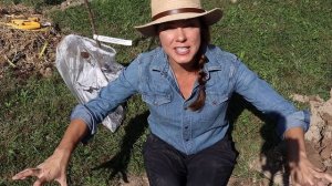 Planting a Fruit Tree in Clay Soil: Tricks & Tips