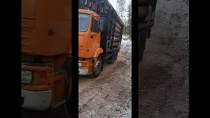 Те кто не боится работы на лесовозе