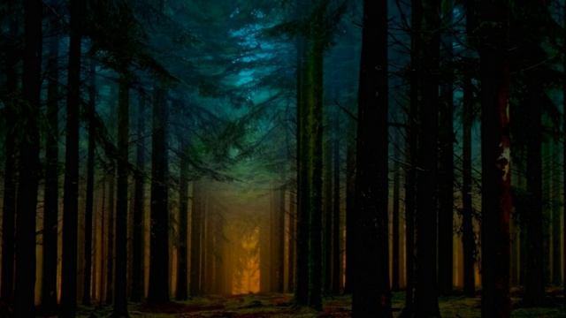 ? Слушать звуки вечернего леса - звуки природы - пение птиц - шум леса смотреть онлайн