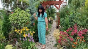 ОБЗОР САДА 16 ИЮЛЯ 2022 С ЦВЕТАМИ Мой цветущий ЮЖНЫЙ САД редких коллекционных растений!