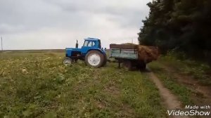 МТЗ 80 вывоз навоза.