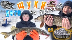 ДЕТИ таскают ЩУК!!! Красноперка как из пулемёта. Закрытие сезона.