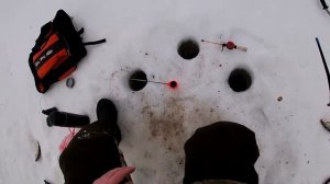 Зимняя рыбалка  Ловля плотвы зимой на мормышку и поплавок
