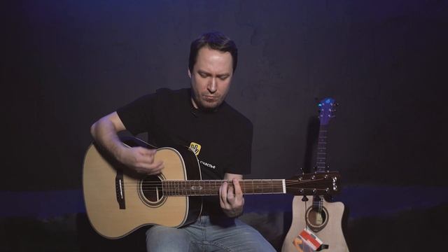Обзор акустических гитар до 20000 рублей | SKIFMUSIC.RU