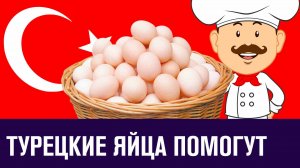 Как турецкие курочки спасут российский рынок яиц - Эконом FAQ/Москва FM