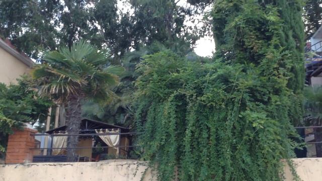 КУРОРТ В АБХАЗИИ|ПЛЯЖ АБХАЗИИ смотреть онлайн