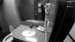 DOROGA.FM: Влоги на дороге -  Дима Малаш.