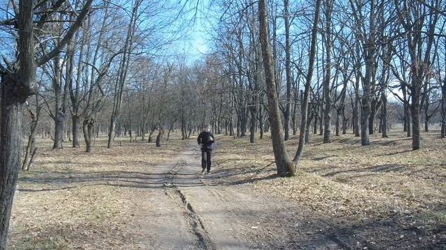 Спортивный челлендж ! Выпуск 1. БЕГ  Sports Challenge! RUN