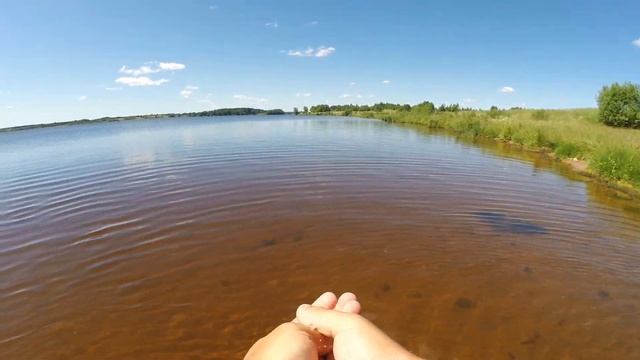 Лещ на спиннинг. Рыбалка в Удомле. смотреть онлайн