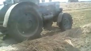 Тюкуем эспарцет