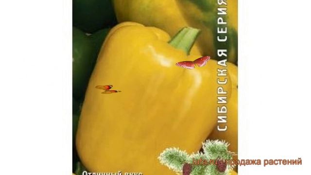 Перец сладкий Изюминка (izyuminka izyuminka) ? Изюминка обзор: как сажать, семена перца Изюминка смотреть онлайн