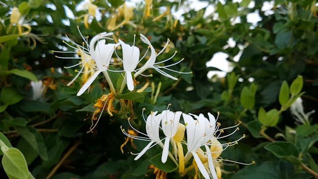 Cine mai muncește în România? Am găsit răspunsul смотреть онлайн