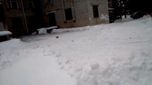 Как сдать анализ на энтеробиоз